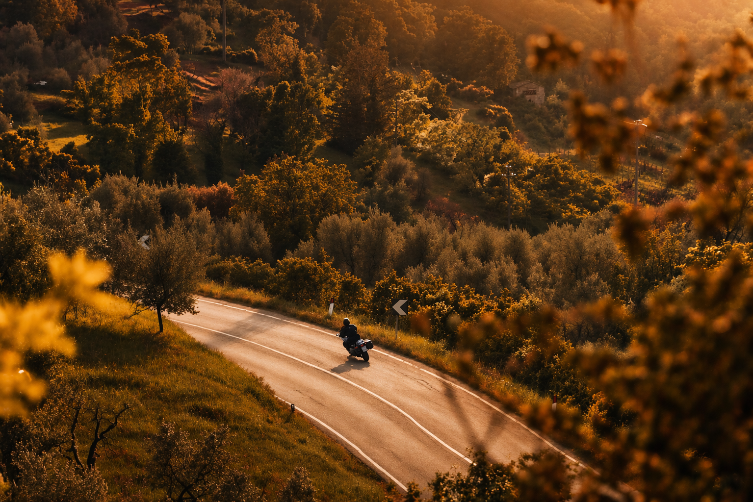 Woman riding a motorcycle on a scenic winding road at golden hour, representing Moto Honey women’s motorcycle gear lifestyle